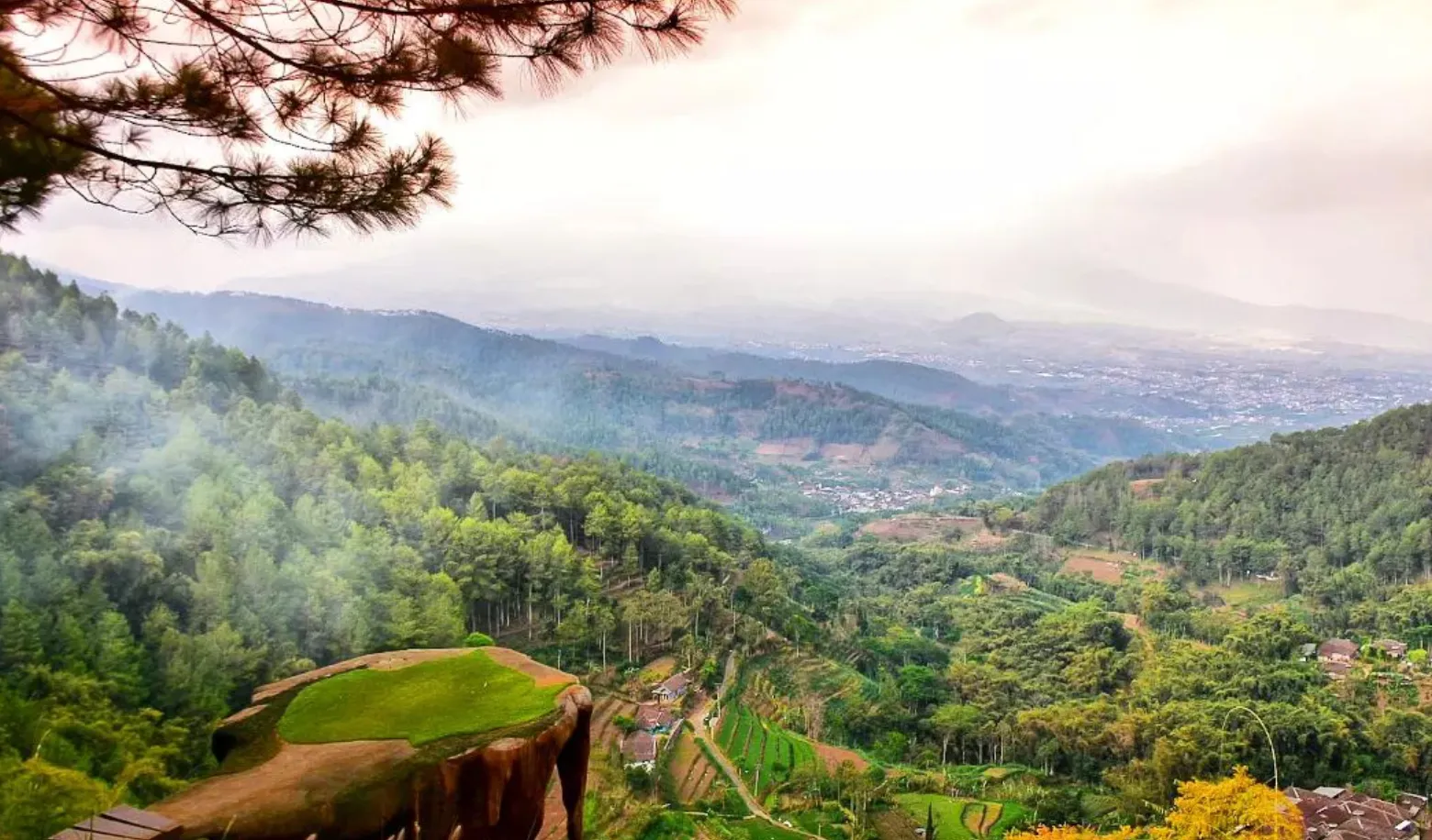 Eksotisme Goa Pinus Malang: Wisata Alam dengan Suasana Mistis